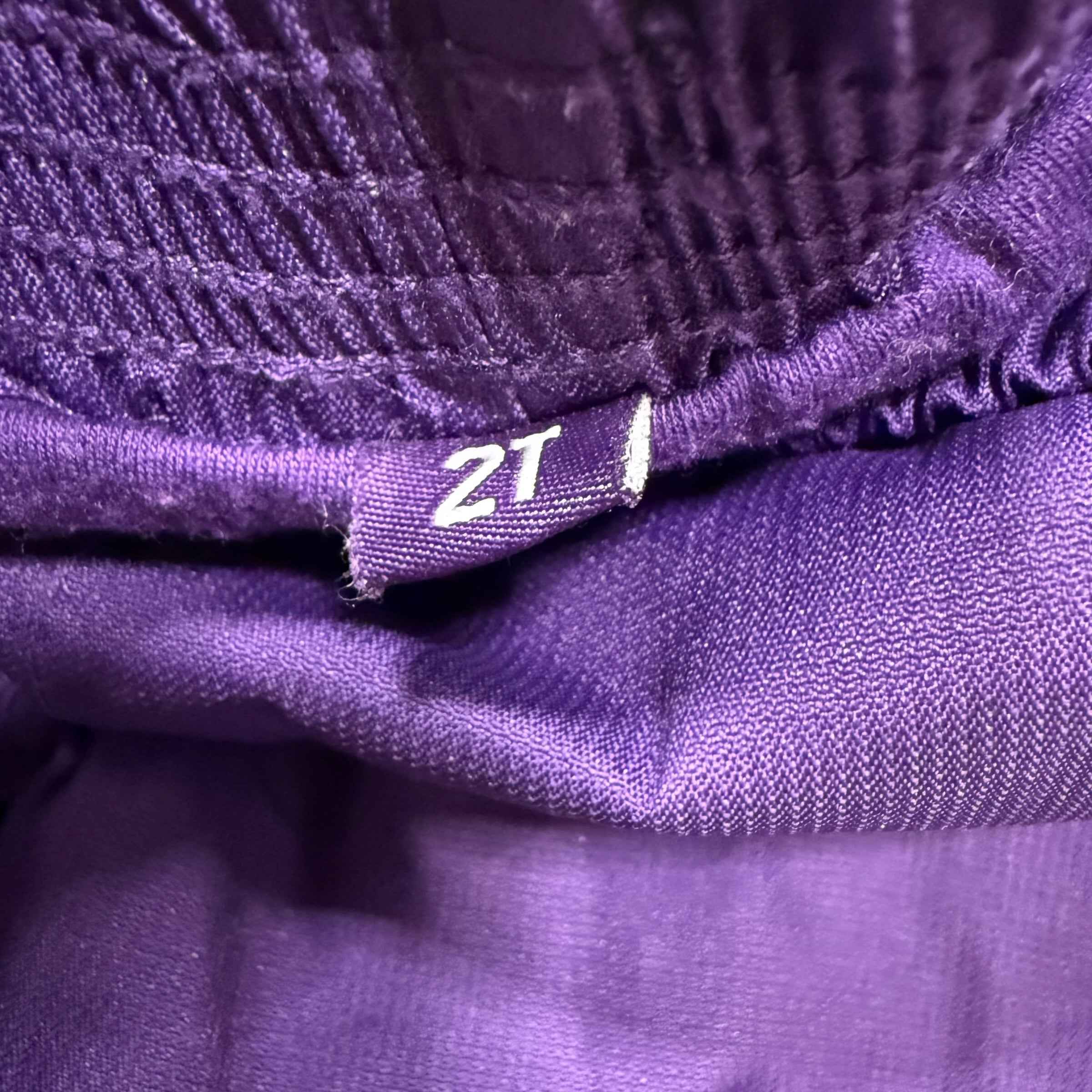 Purple 2T Rain Splash Pants