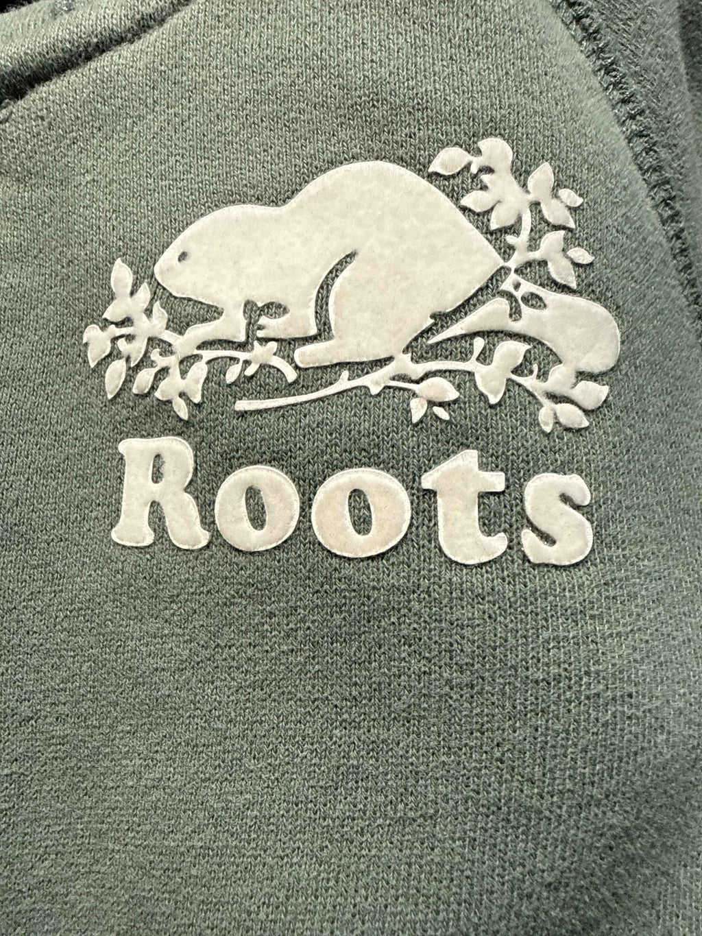 Roots 3T zip up sweatshirt hoodie - Ready Kids Canada